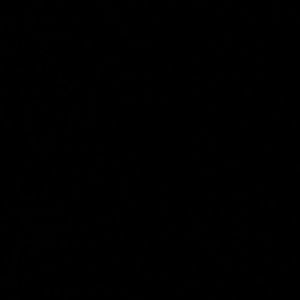 Meet your Posher, Trevor